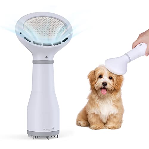 Cepillo secador para perro