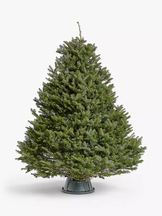 the-best-places-to-buy-a-real-christmas-tree-online