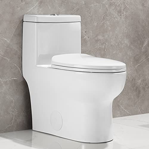 DV-1F026 Ally Dual Flush Toilet