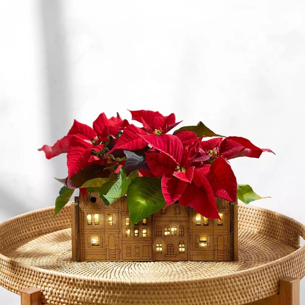 16 Minimalist Christmas Decorating Ideas Anyone Can Recreate