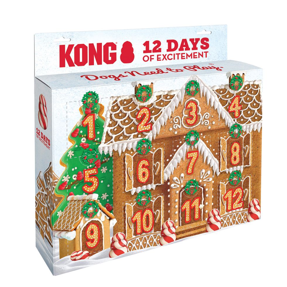 KONG Holiday 12 Days Calendar Dog Toy, Large