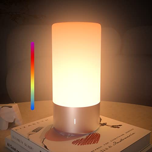 Portable Touch Lamp