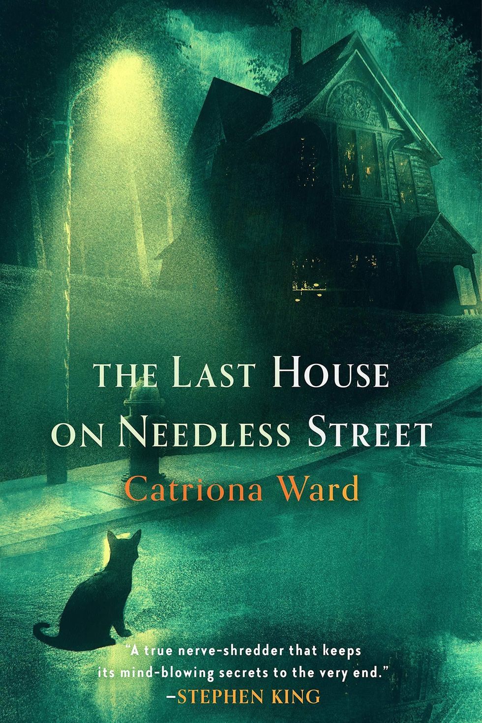 "The Last House on Needless Street" by Catriona Ward