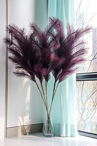 Purple Pampas Grass - 5 pcs