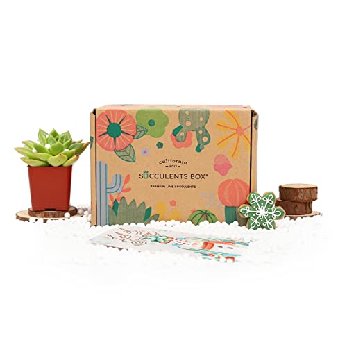 Subscription Box