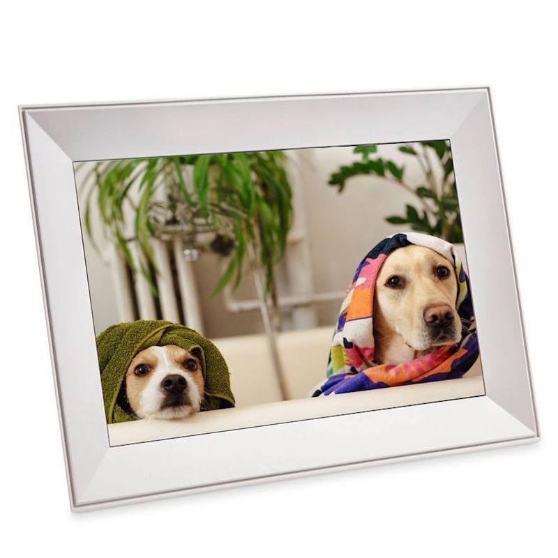 Buddy Digital Picture Frame