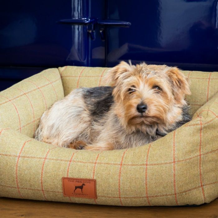 Joules dog hotsell bed grey