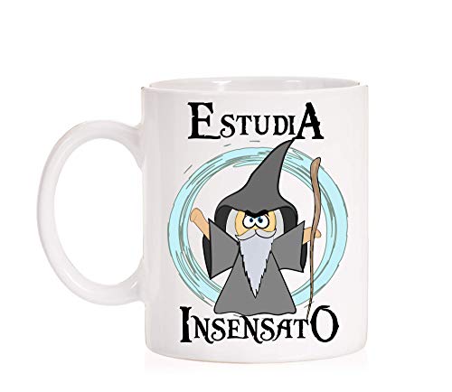 Taza Estudia Insensato