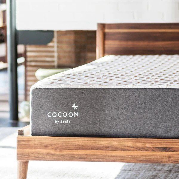 cocoon by sealy queen