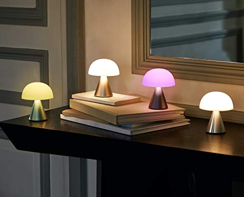 Rechargeable Portable LED Light Rechargeable Portable LED Light