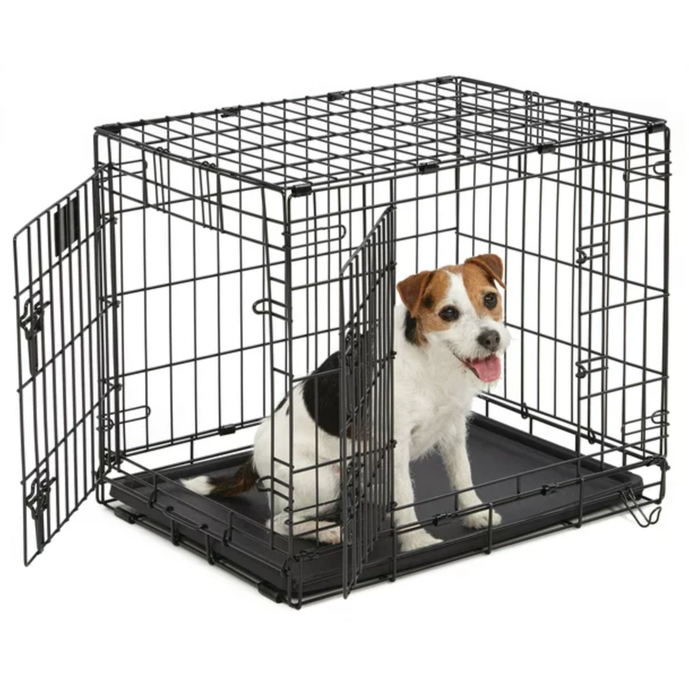 LifeStages Double Door Dog Crate, 24 Inches
