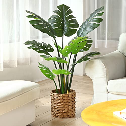 9 Best Faux Plants 2022 Where To