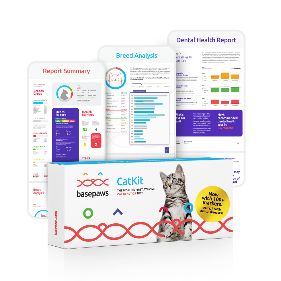 Breed + Health Cat DNA Test