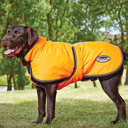 WeatherBeeta Comfitec Reflective Parka Deluxe Dog Coat