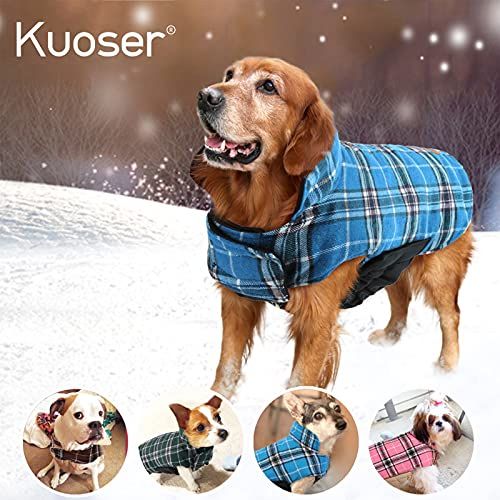 7 Best Dog Winter Coats 2022 Jackets for Puppies and Dogs