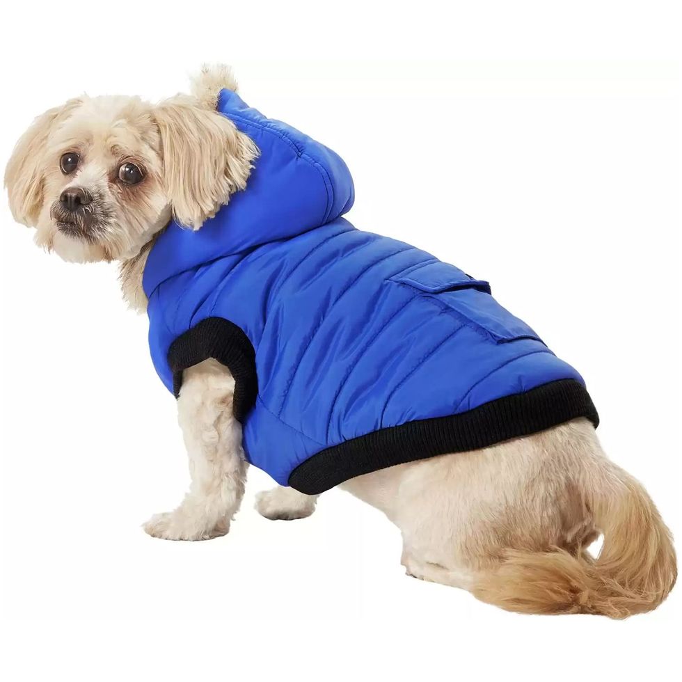 IceBear Dog Cooling Coat Dark Blue 65cm, XXL: Buy Online at Best