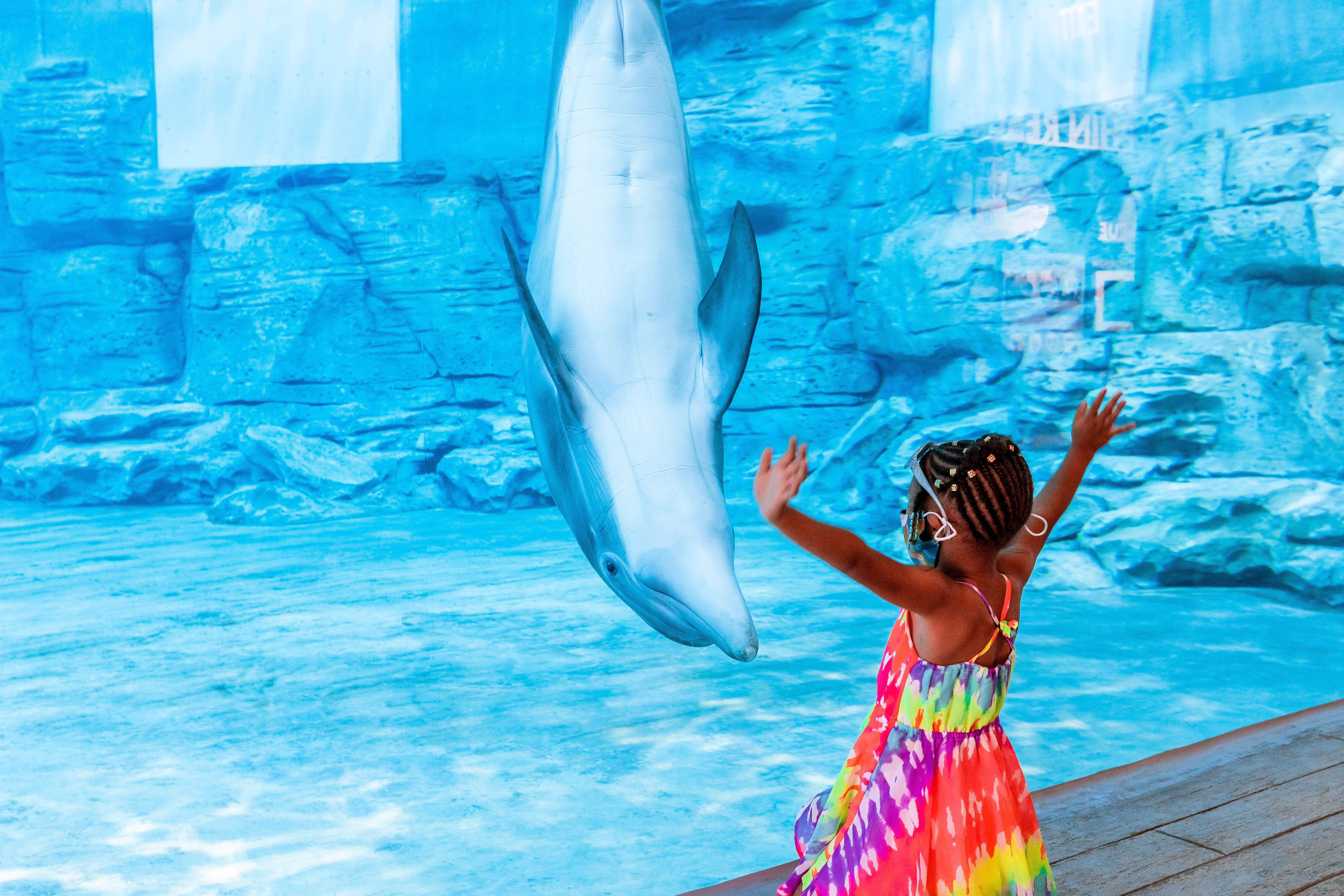 Clearwater Marine Aquarium, Clearwater, Florida 