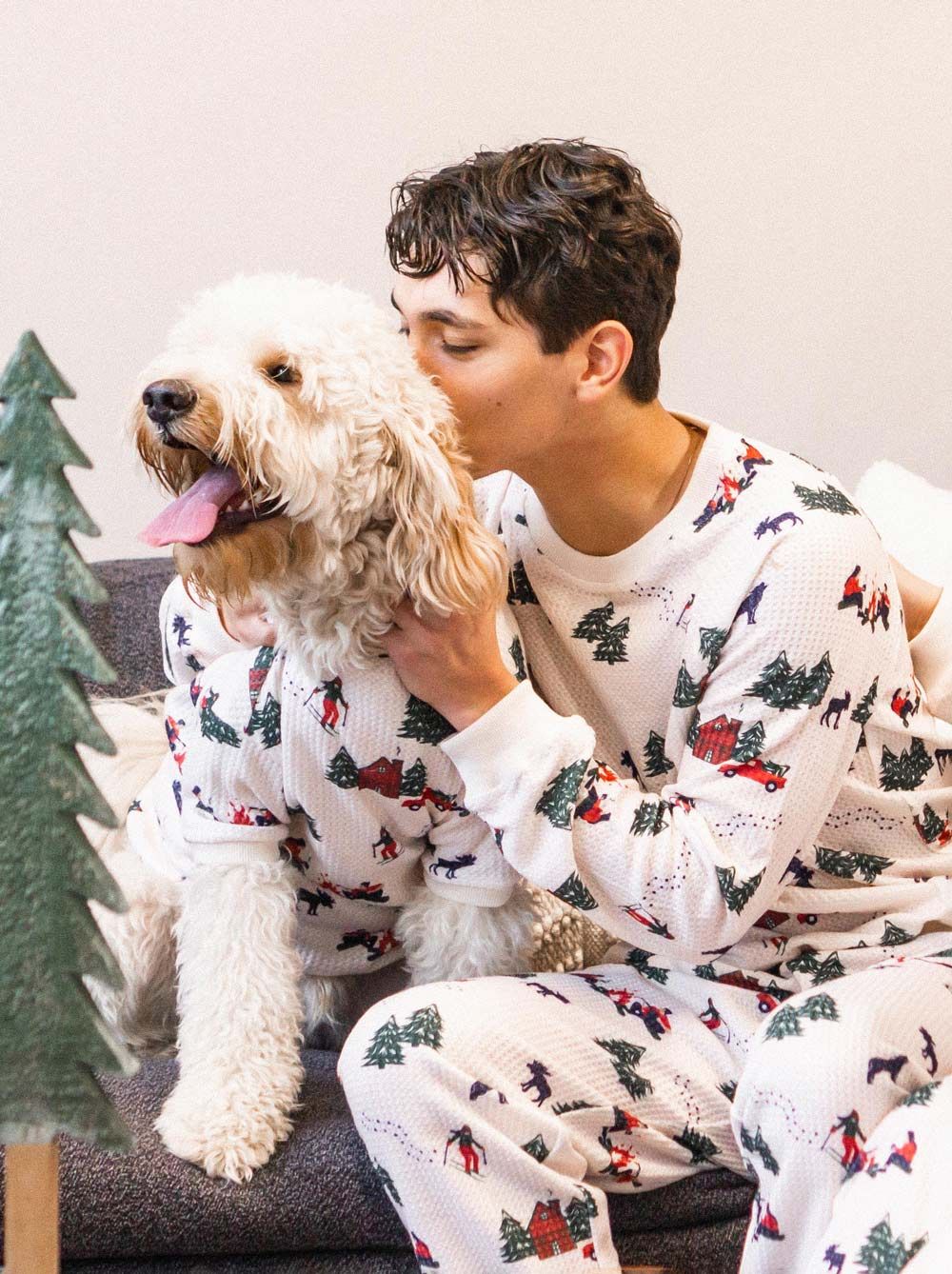 Matching xmas jumpers sale for dog and owner