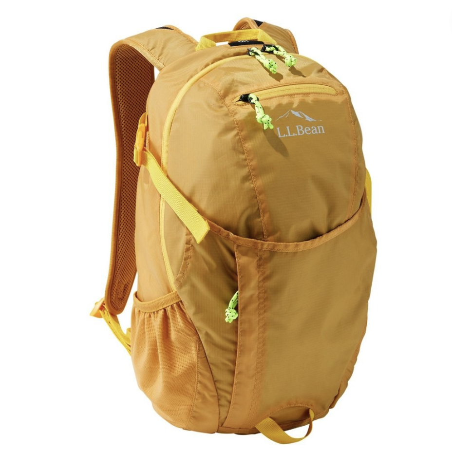 Successful In need of Wind 25 ​Best Backpacks for Men in 2022 - Top Backpacks