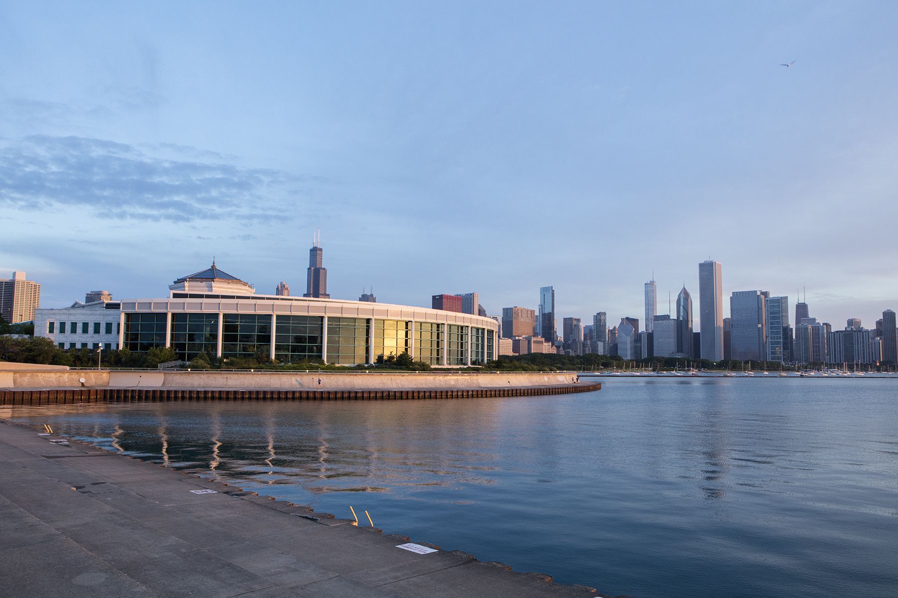 Shedd Aquarium, Chicago, Illinois 