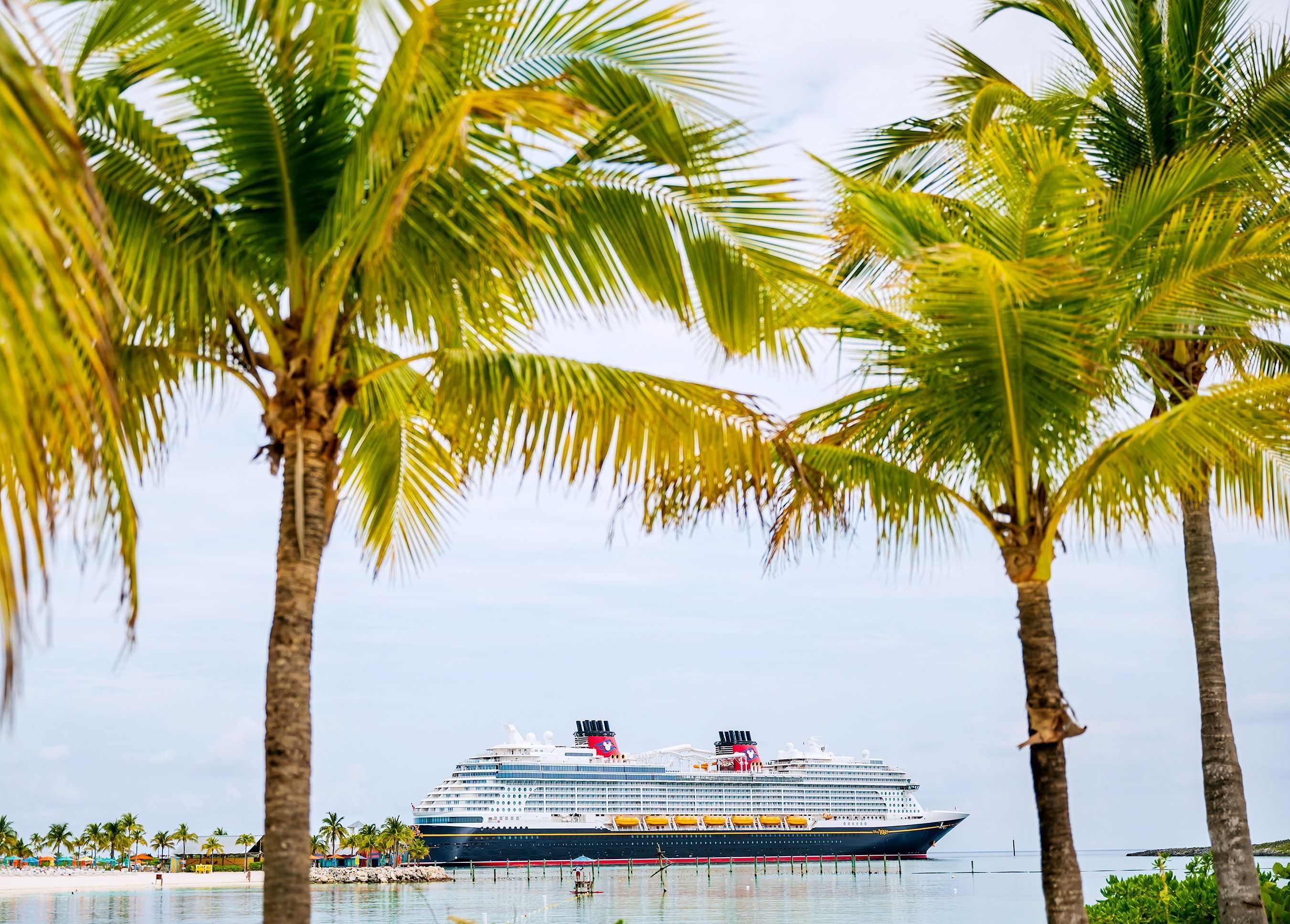 Disney Cruise Line: Disney Wish