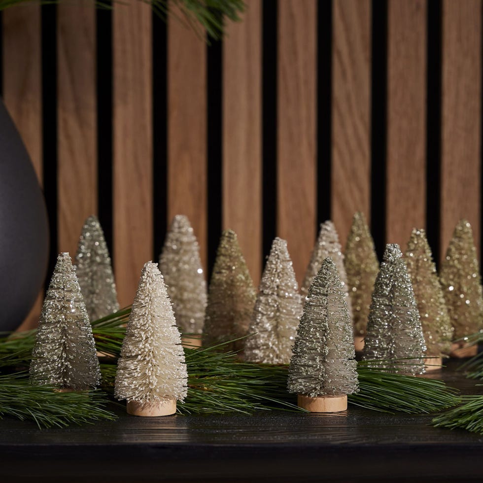 Mini Holiday Bottlebrush Trees (Set of 12) on Food52