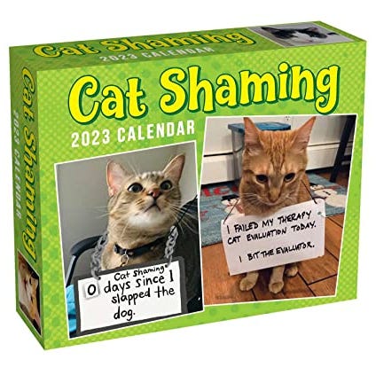 Cat Shaming 2023 Day-to-Day Calendar
