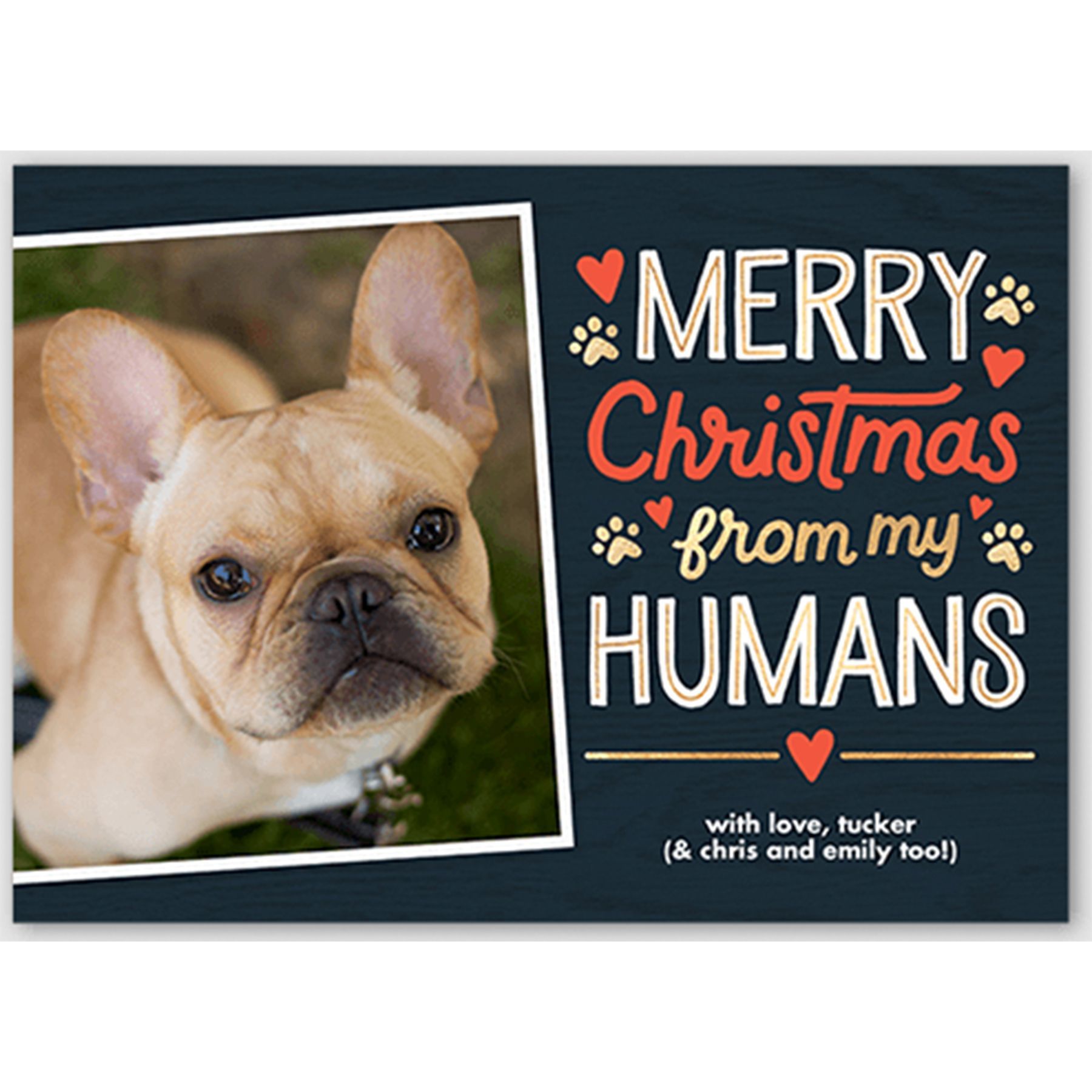 Pawsitively Penned Christmas Card