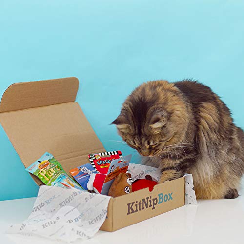 Happy Cat Monthly Subscription Boxes 