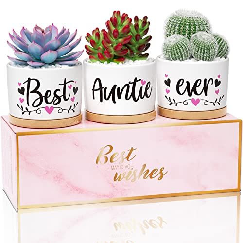 20 Gift Ideas Your Awesome Aunt Will Love - Unique Gifter