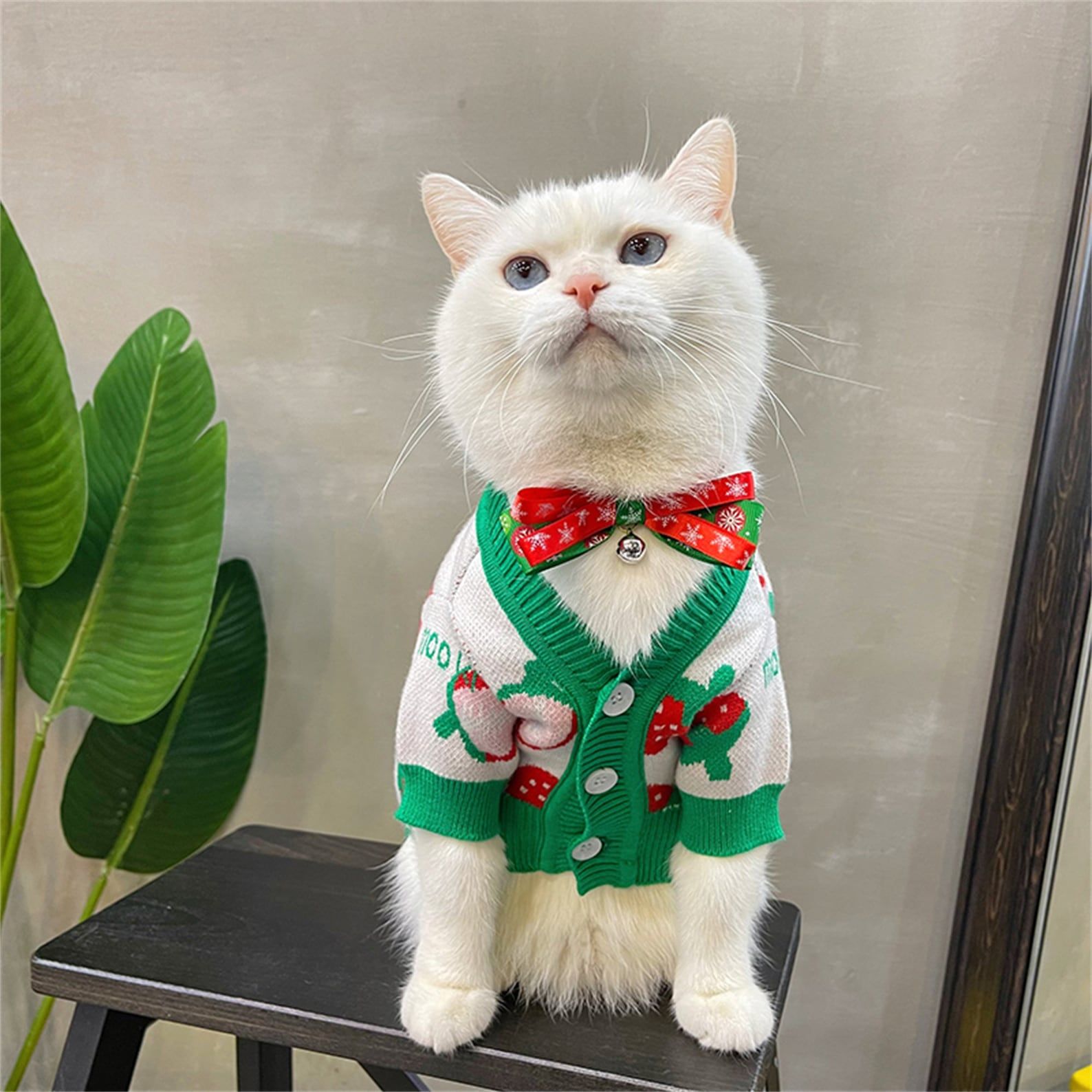 Ugly best sale cat sweater