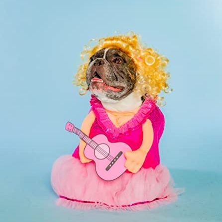 Pink Dress, Guitar & Wig Set