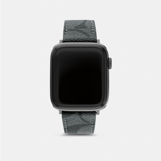 Louis Vuitton Titanium Apple Watch Band