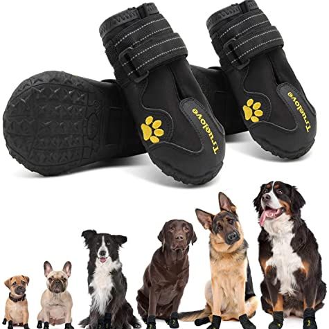 Expawlorer Anti-Slip Dog Shoes