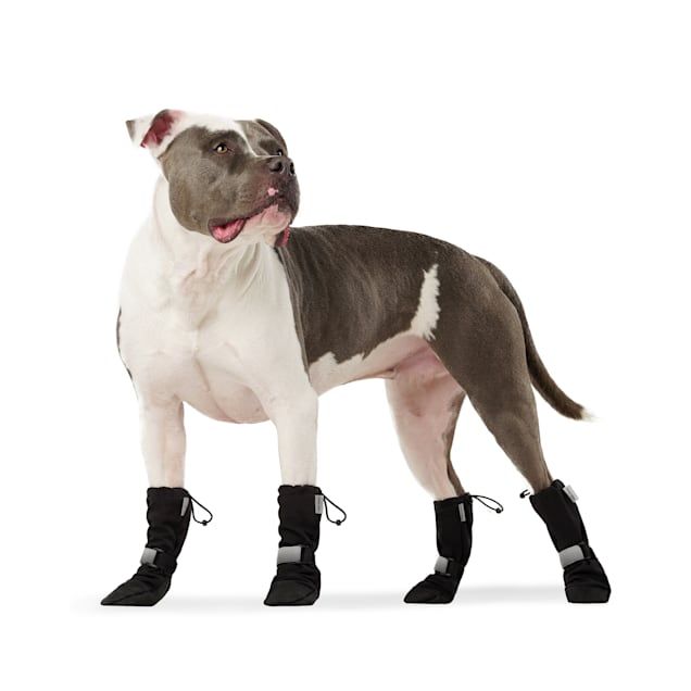 Canada Pooch Black Soft Shield Dog Boots