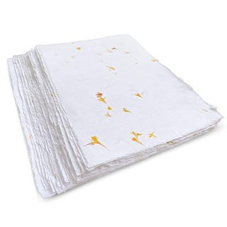 White Deckle Edge Paper Cards with Real Flower Petals
