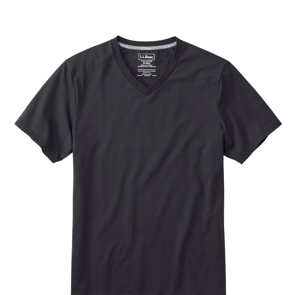 Zeg opzij Trouw Evenement Best V-Neck T-Shirts for Men in 2023, According to Style Experts
