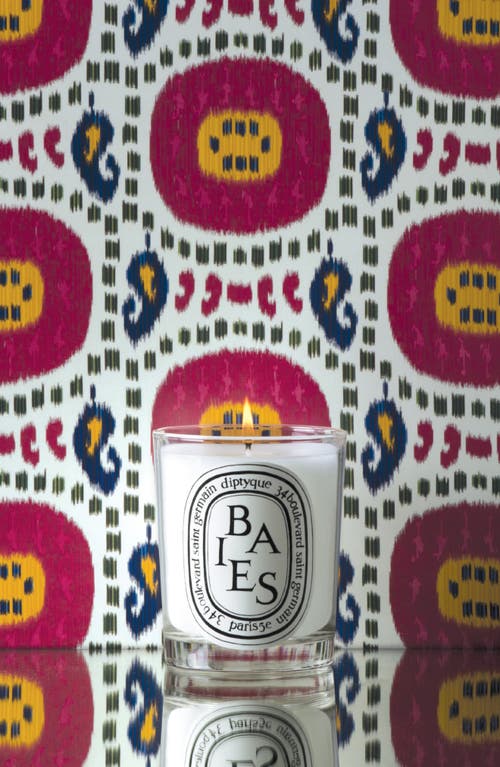 Baies Candle