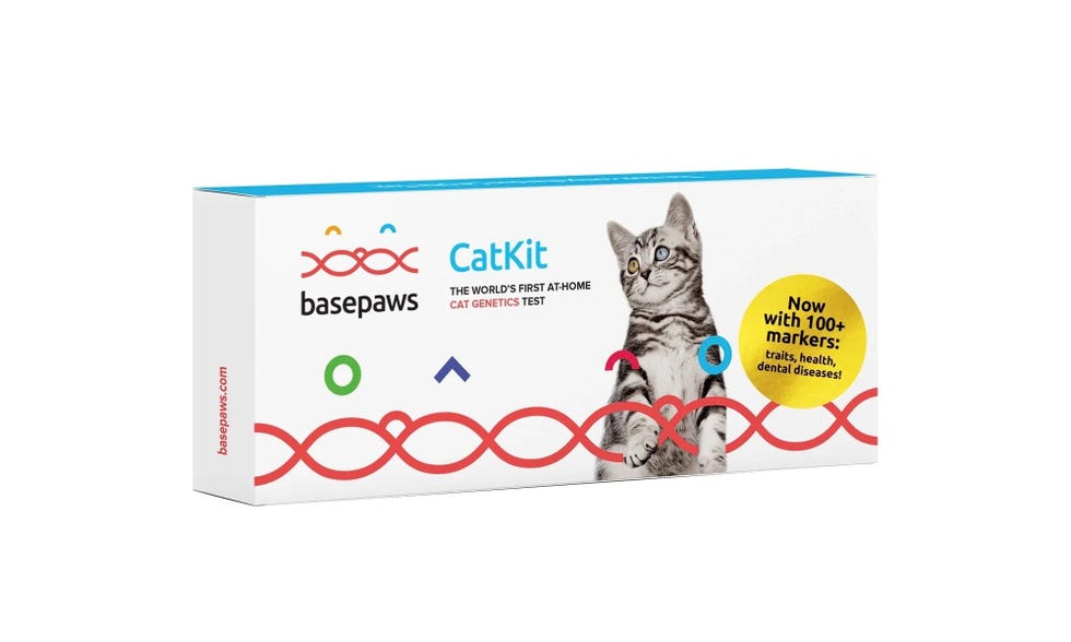 Breed + Health Cat DNA Test