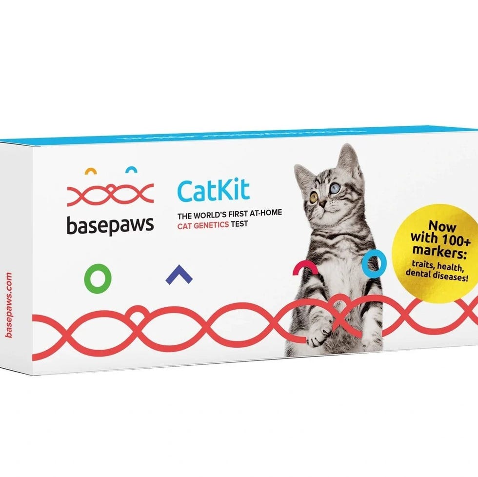 Breed + Health Cat DNA Test Breed + Health Cat DNA Test