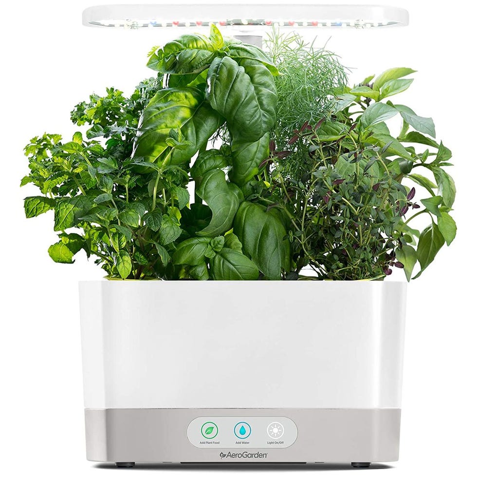 Harvest Hydroponic Indoor Garden