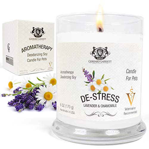 Candle for Pets Candle for Pets