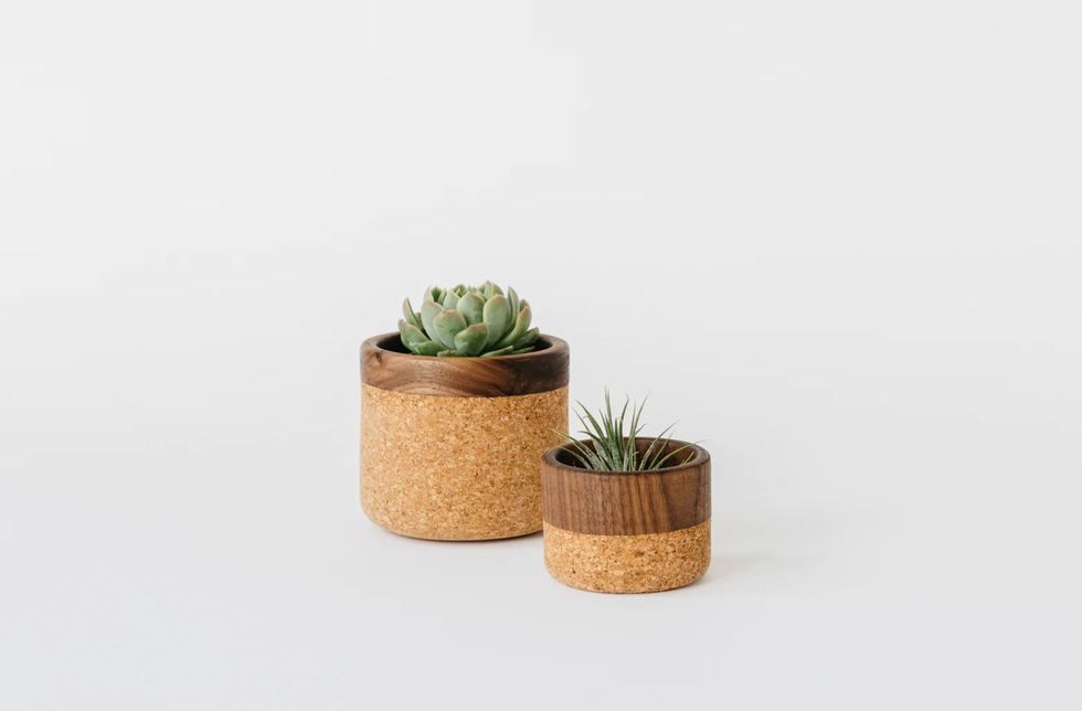 Walnut + Cork Bowl