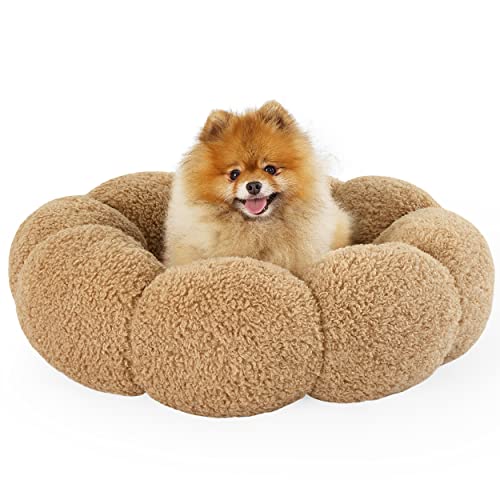 Calming Dog Bed