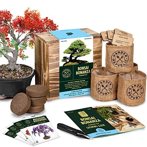 Bonsai Tree Seed Starter Kit 