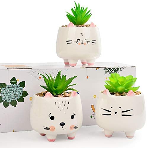 Cat Succulent Pots