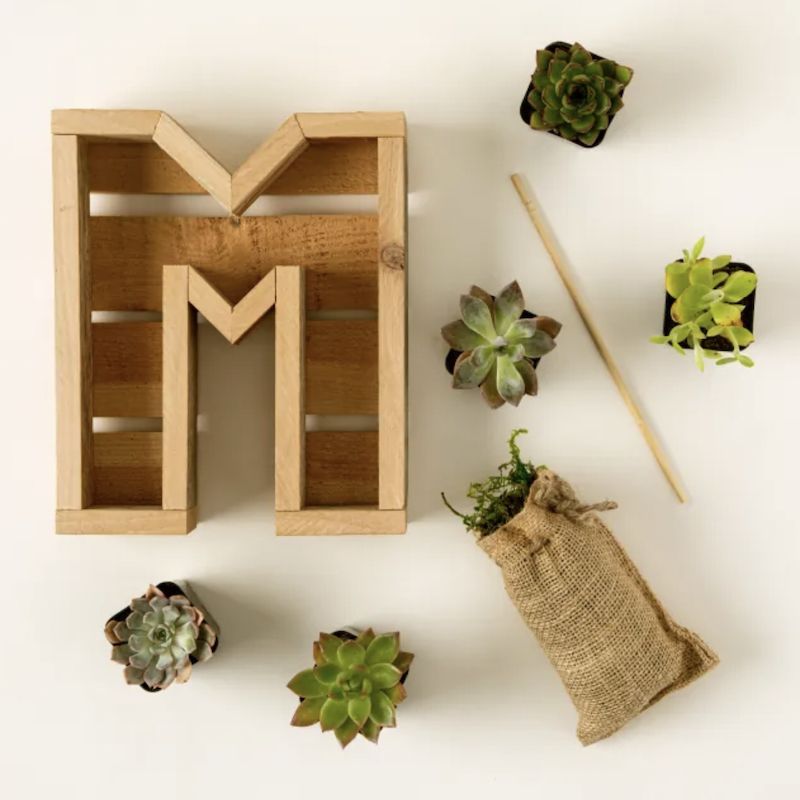 Succulent Letter DIY Kit