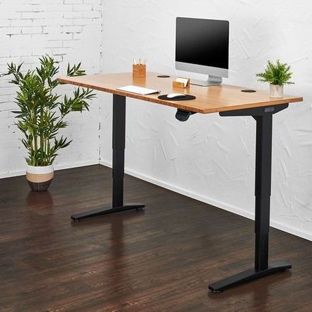 V2 Bamboo Standing Desk 