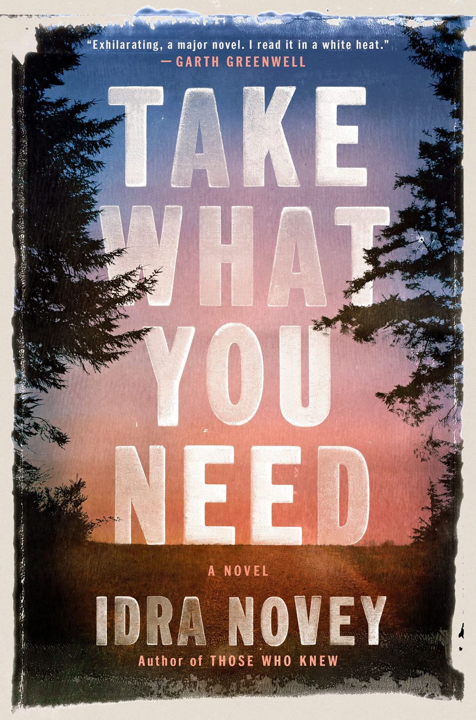 <i>Take What You Need</i>, by Idra Novey