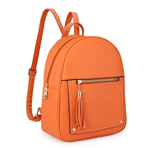 Mini Backpack Purse